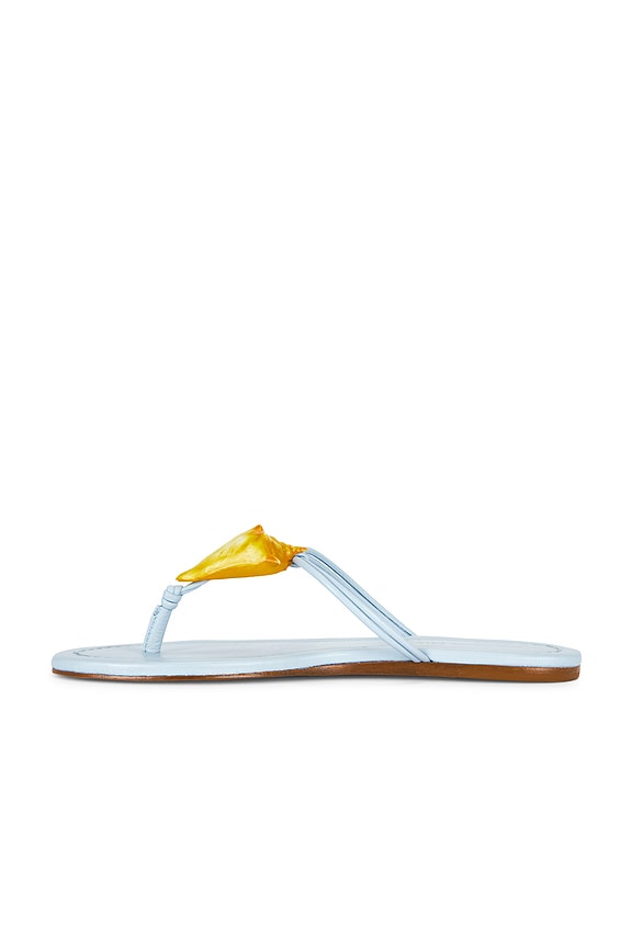 Shell Flat Sandal