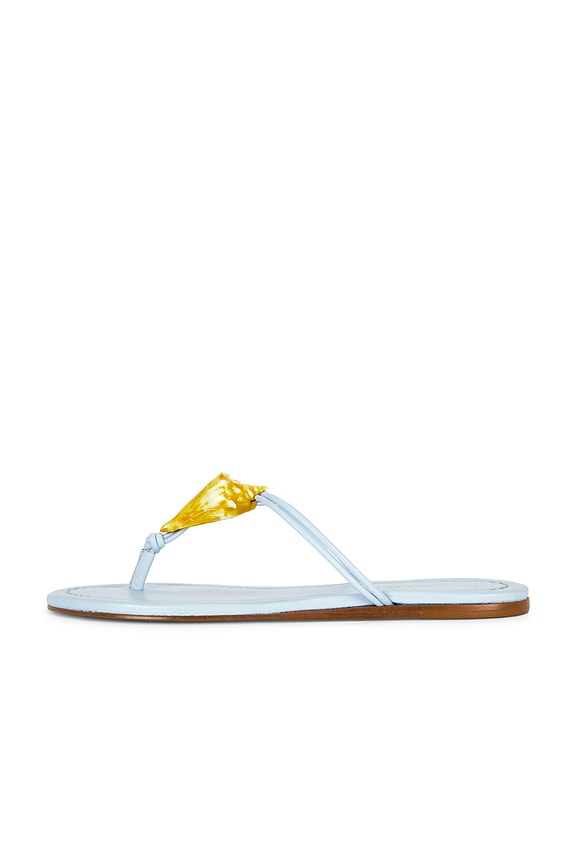Shell Flat Sandal