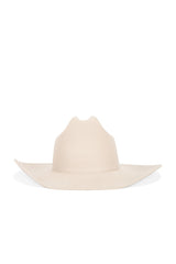 Teddy Cowboy Hat