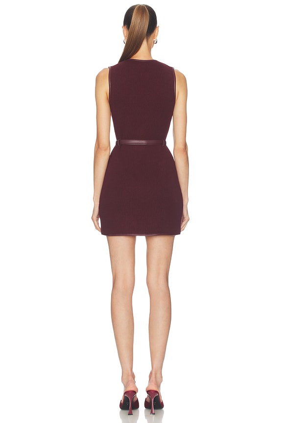 Viretta Mini Dress