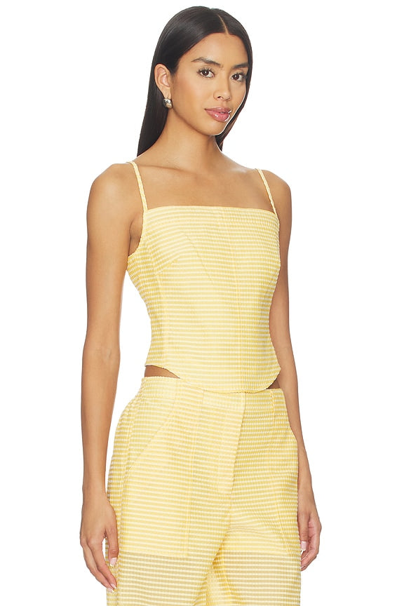 Lenora Bustier Top