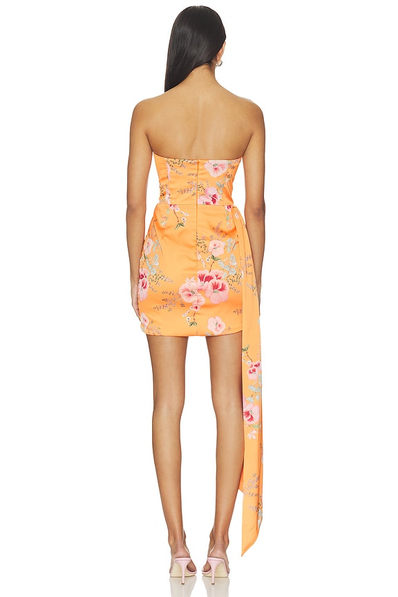 Chasing Dawn Dress