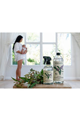 Glass Cleaner