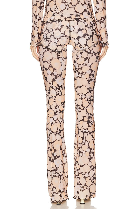 Halcyon Legging
