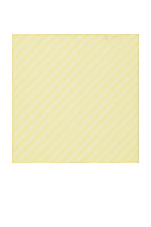Nava Chiffon Headscarf