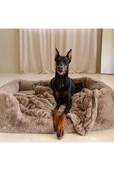 The Pet Blanket