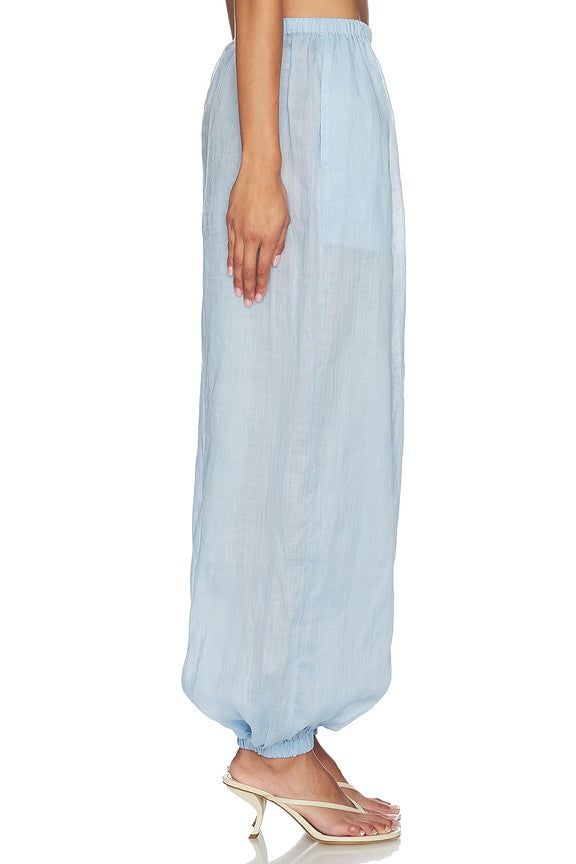 Darina Pant