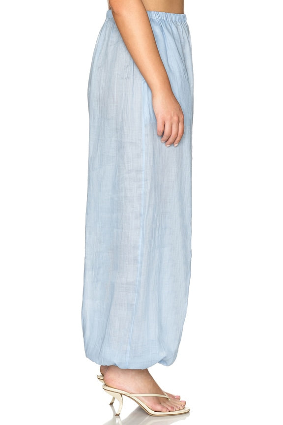 Darina Pant