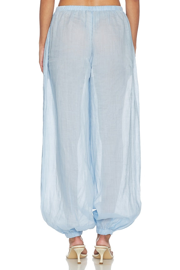 Darina Pant