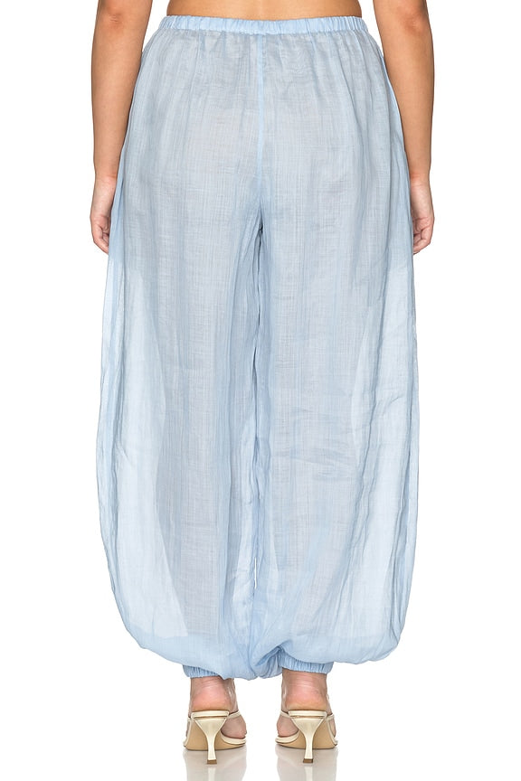 Darina Pant