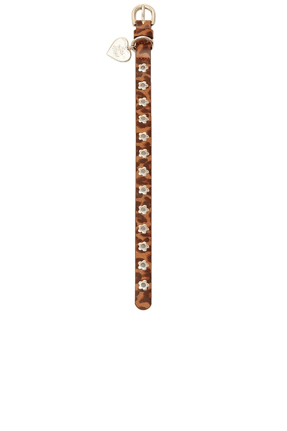 Cougar Flower Power Collar