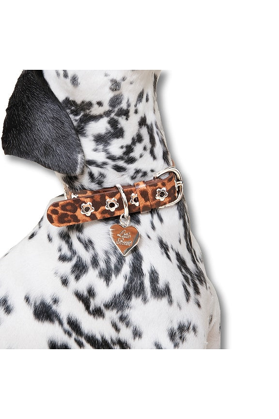 Cougar Flower Power Collar