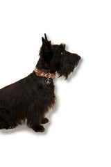 Cougar Flower Power Collar