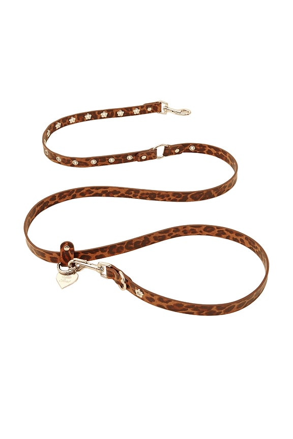 Cougar Flower Power Leash