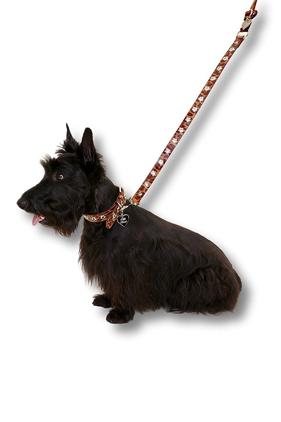 Cougar Flower Power Leash