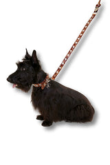 Cougar Flower Power Leash