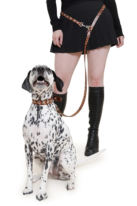 Cougar Flower Power Leash