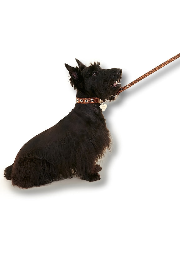 Cougar Flower Power Leash