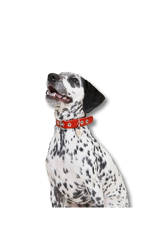 Ruby Flower Power Collar