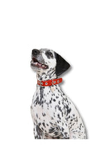 Ruby Flower Power Collar