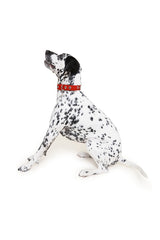 Ruby Flower Power Collar