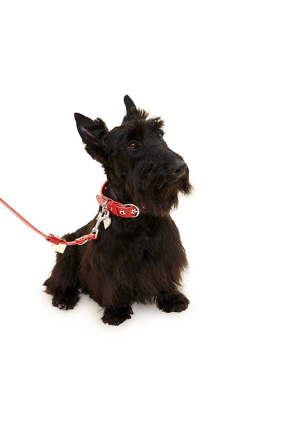 Ruby Flower Power Collar