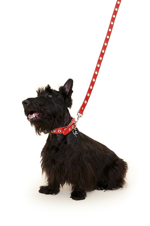 Ruby Flower Power Leash