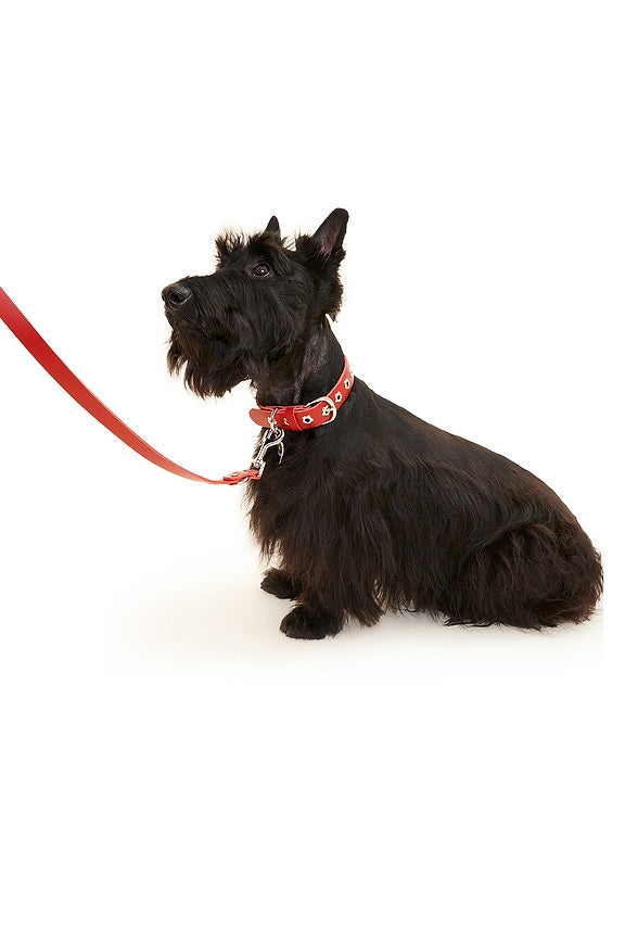 Ruby Flower Power Leash