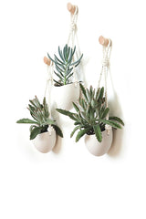 Spora Hanging Planter &amp; Maple Hook Set