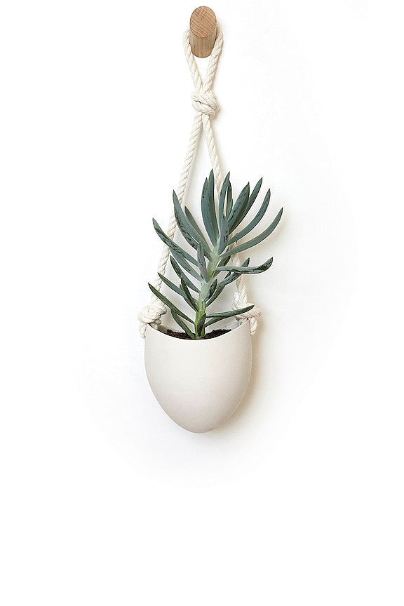 Spora Hanging Planter &amp; Maple Hook Set
