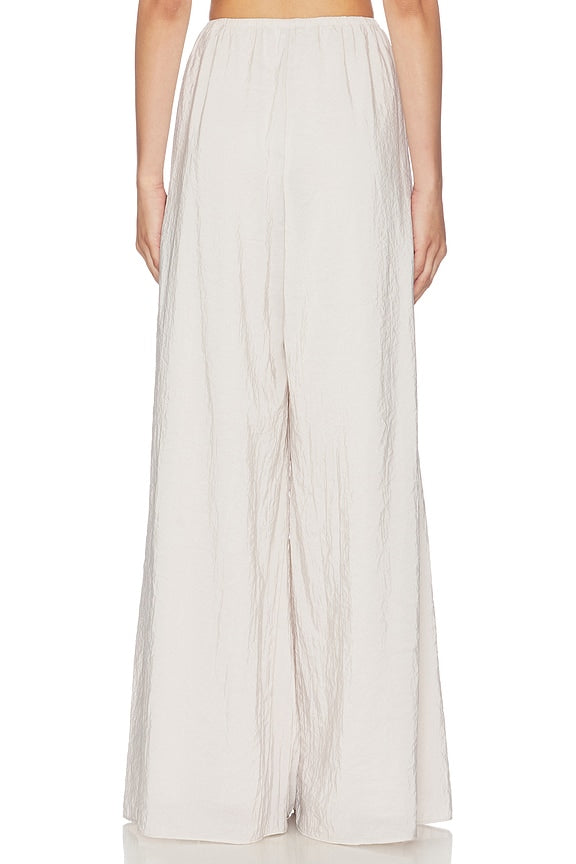 Pleated Wide Leg Pant