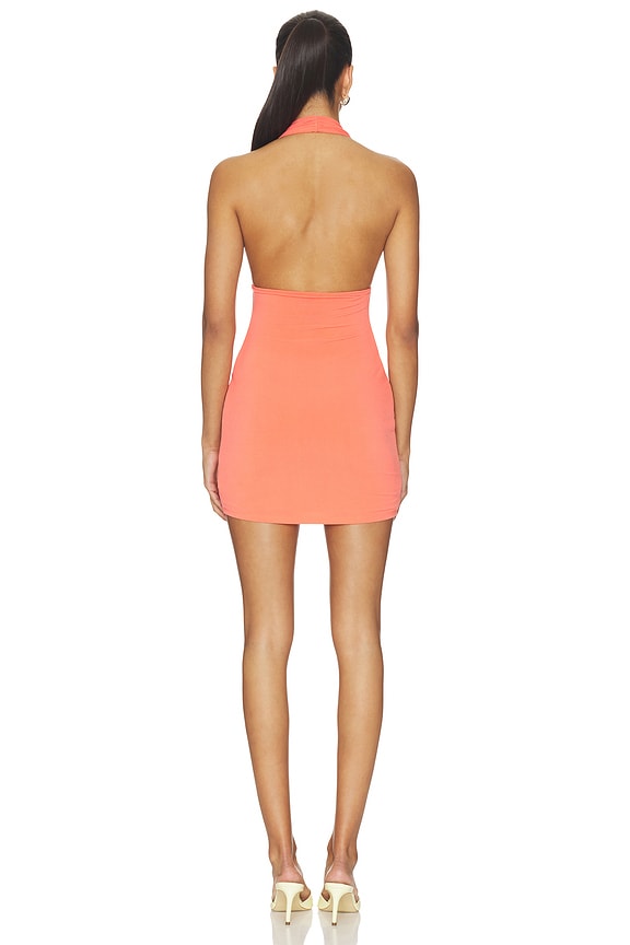 Lupa Mini Dress