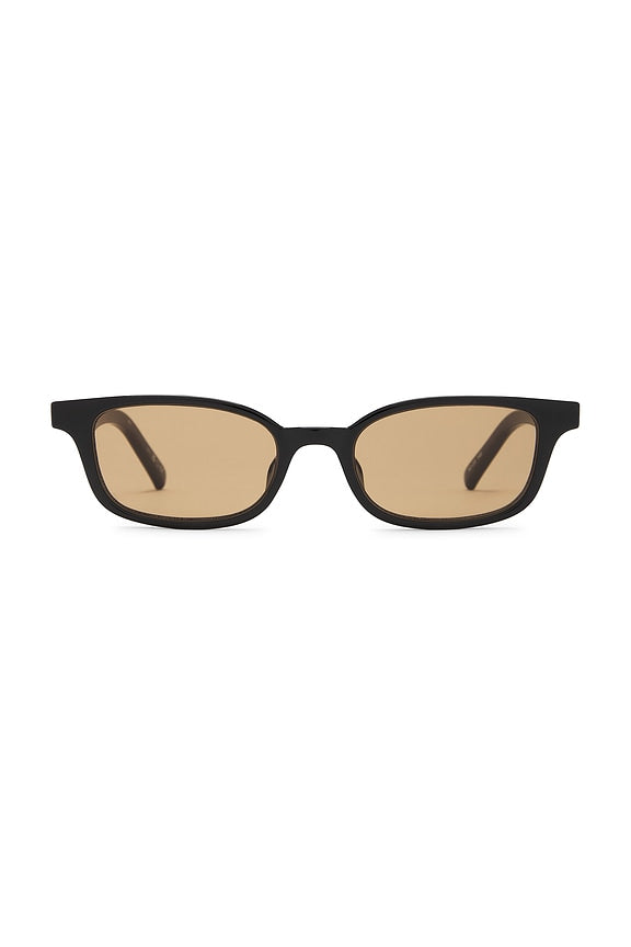 Echelon Sunglasses