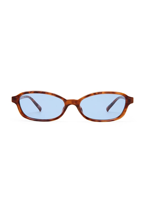 Honey Pot Sunglasses