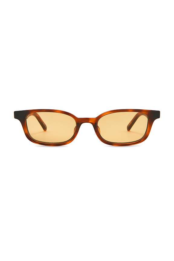 Echelon Sunglasses