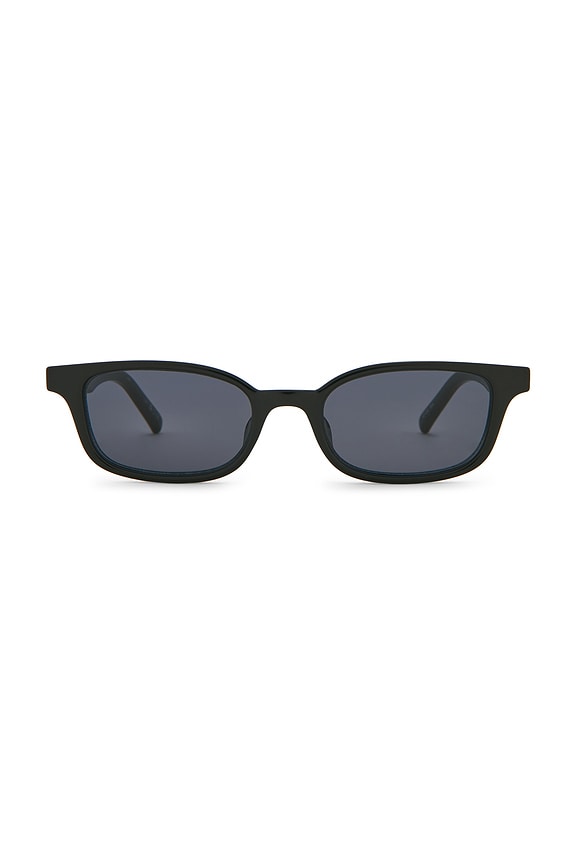 Echelon Sunglasses