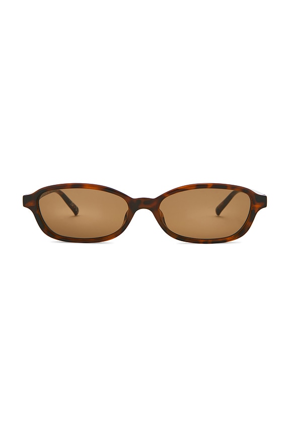 Honey Pot Sunglasses