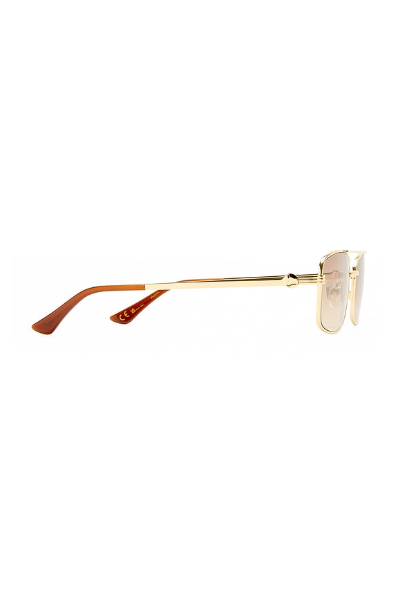 The Rocky Sunglasses