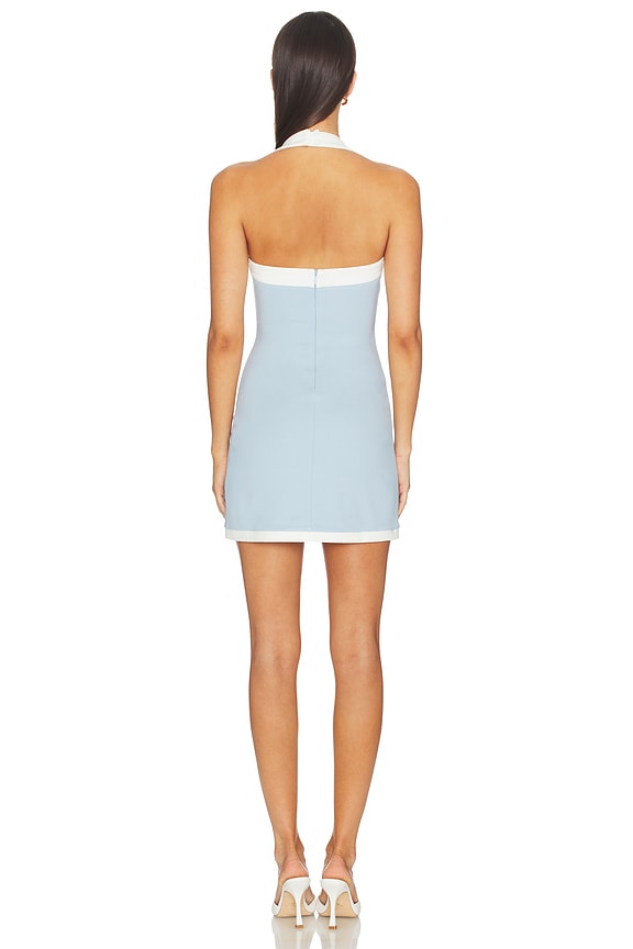Ceci Mini Dress