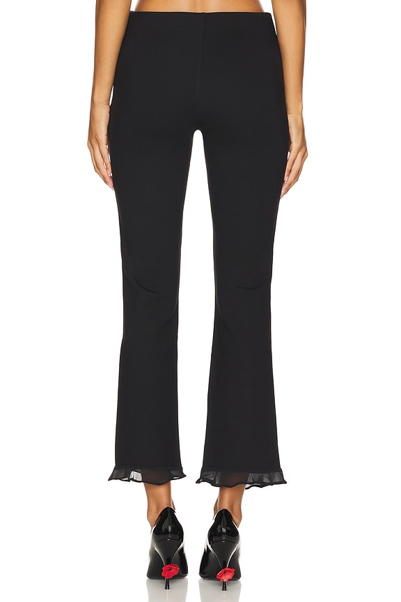 Kelly Capri