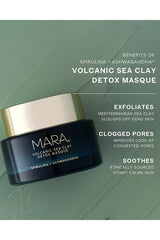 Spirulina + Ashwagandha Volcanic Sea Detox Masque