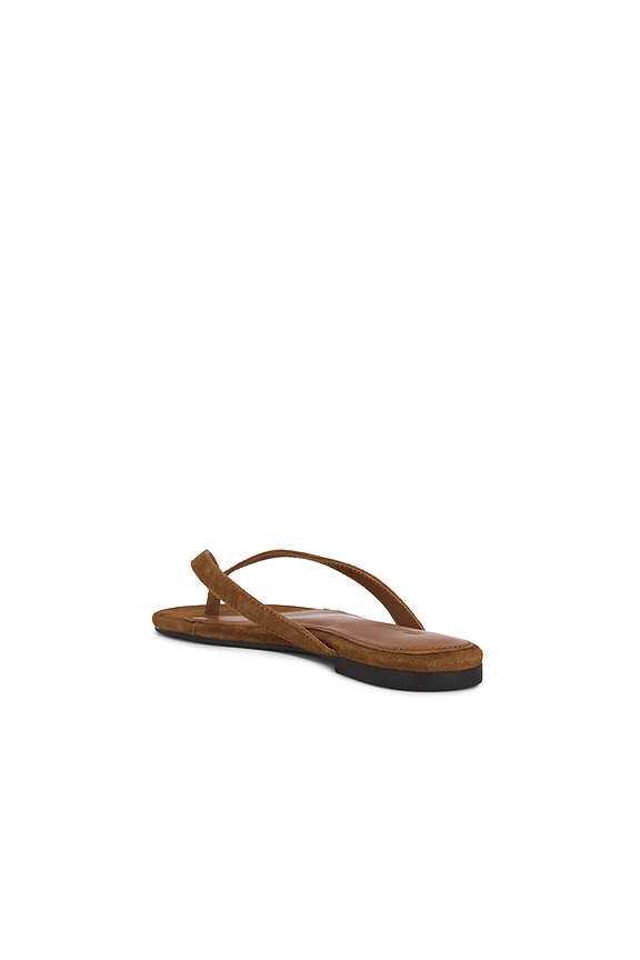 Iggy Thong Sandal