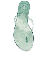 x Melissa Jelly Thong Flip Flop