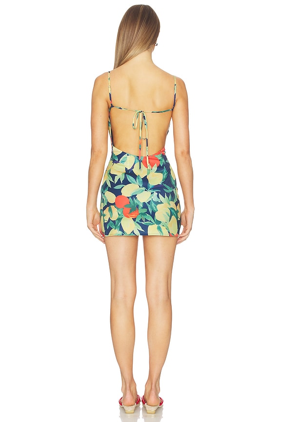 Nancy Mini Dress