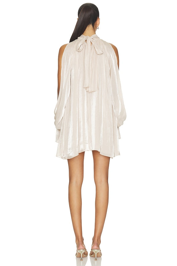 Tilly Mini Dress