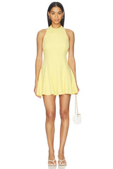 Geneva Mini Dress