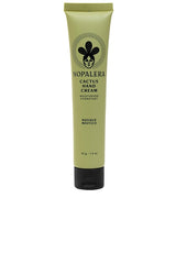 Cactus Hand Cream