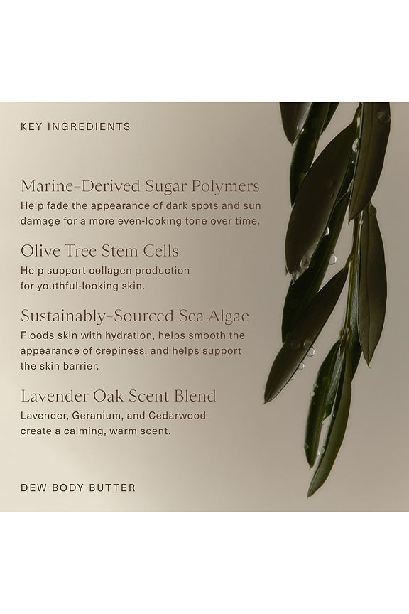 Dew Body Butter