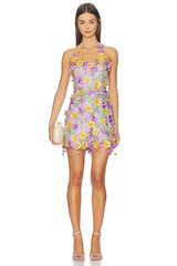 Tulle Pina Embroidered Mini Dress