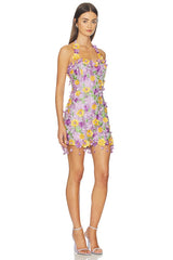 Tulle Pina Embroidered Mini Dress
